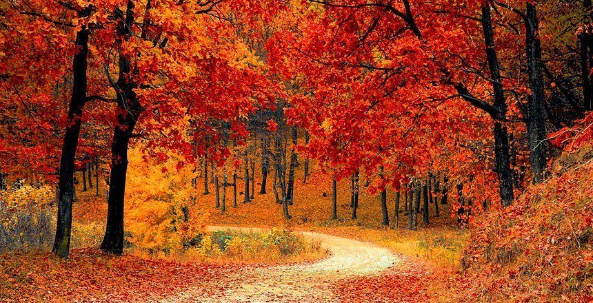 Prepara tus ventanas para el otoño Prepara tus ventanas para el otoño